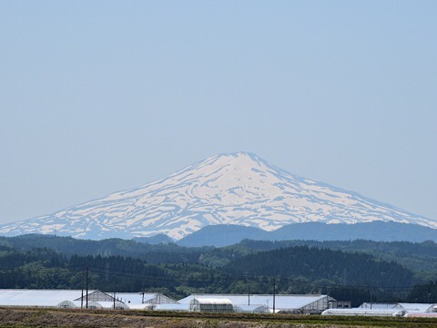 0791B35E-24EE-4A6F-A9A7-FB04F4E85CBD.jpeg