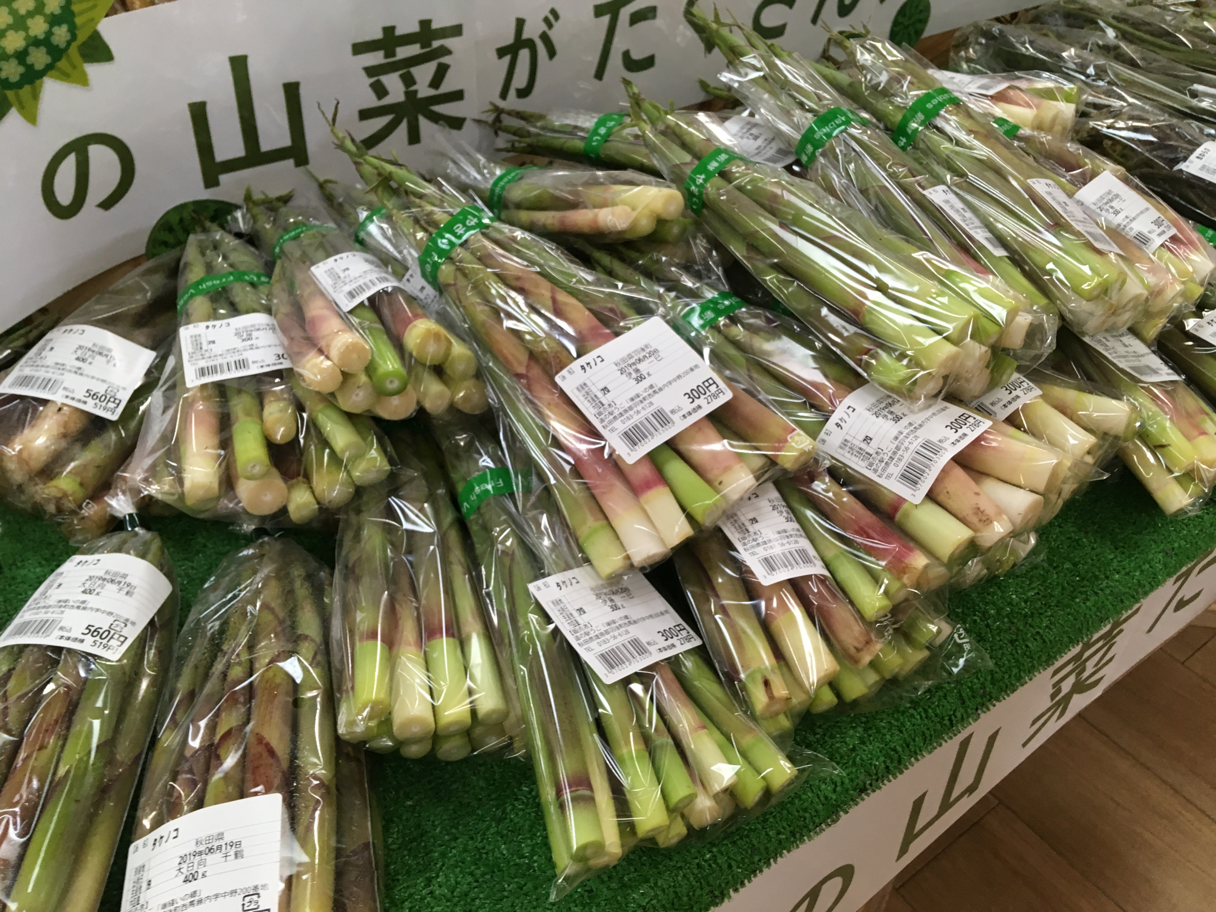 18D89BCF-A3C9-4964-9C31-A8D218BF4BFA.jpeg
