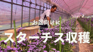 1CFF0350-4327-4F59-A9EE-8B5A7D5372E5.png