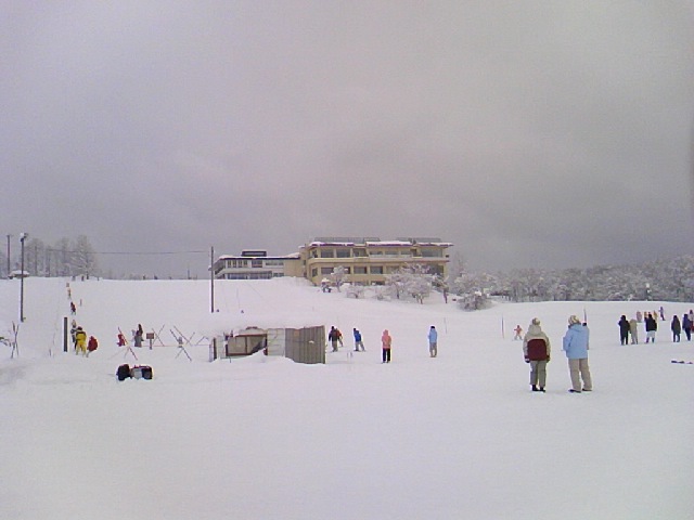 image/2011-01-16T20:23:15-1.jpg