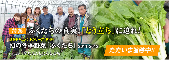 2011_fukutachi_bn.jpg