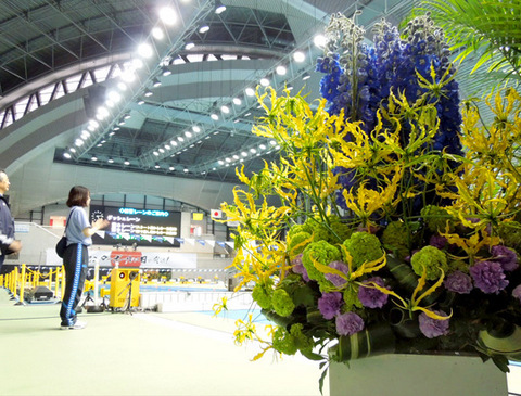 20160404_7.jpg