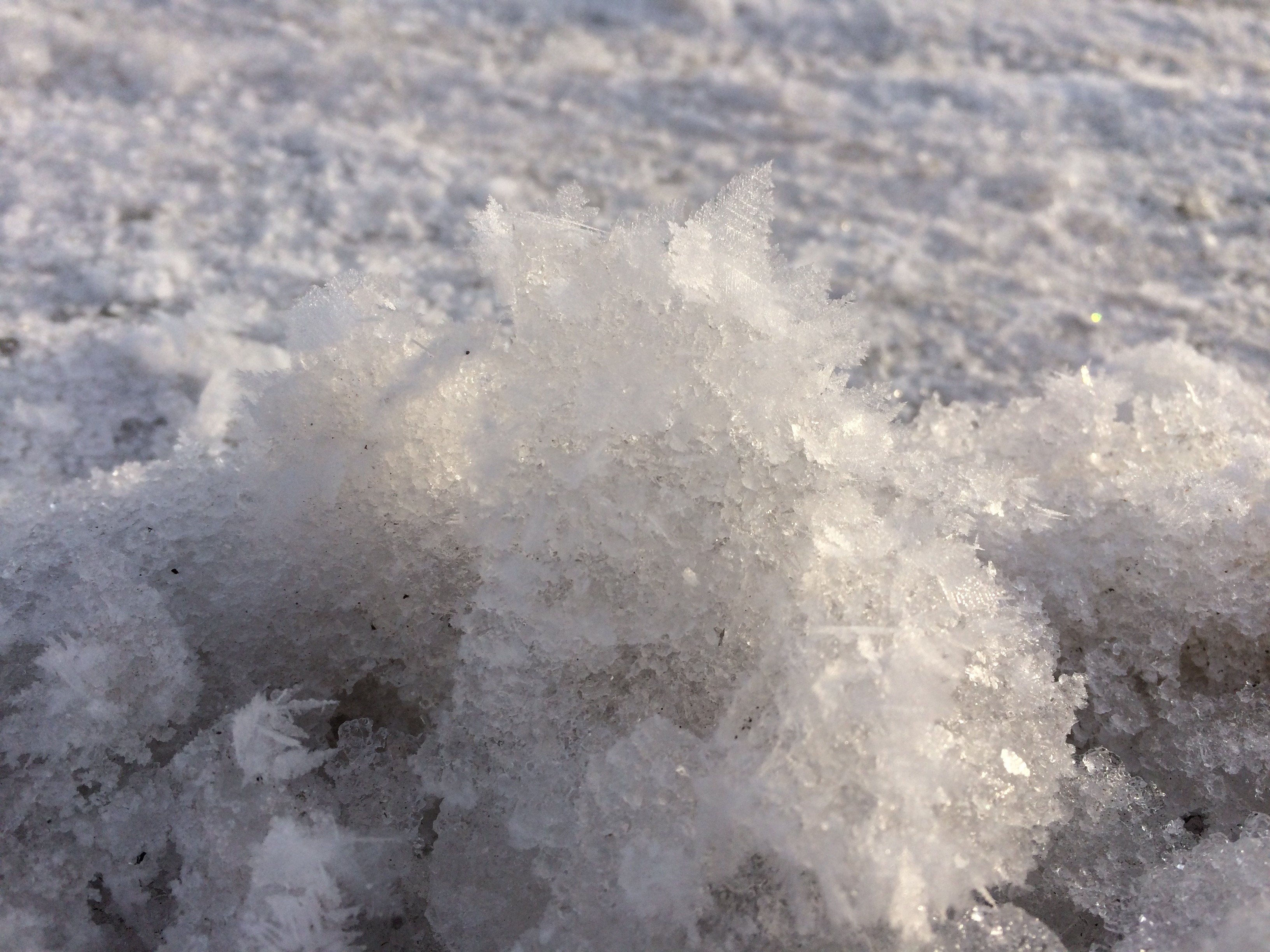 22BA97B9-08BE-44EB-97BD-108EDFB403F4.jpeg