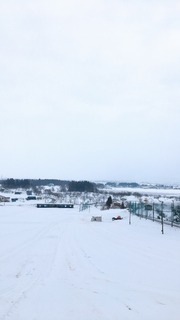 24D951AA-9B0E-428C-A35E-9F56B9DB095D.jpeg