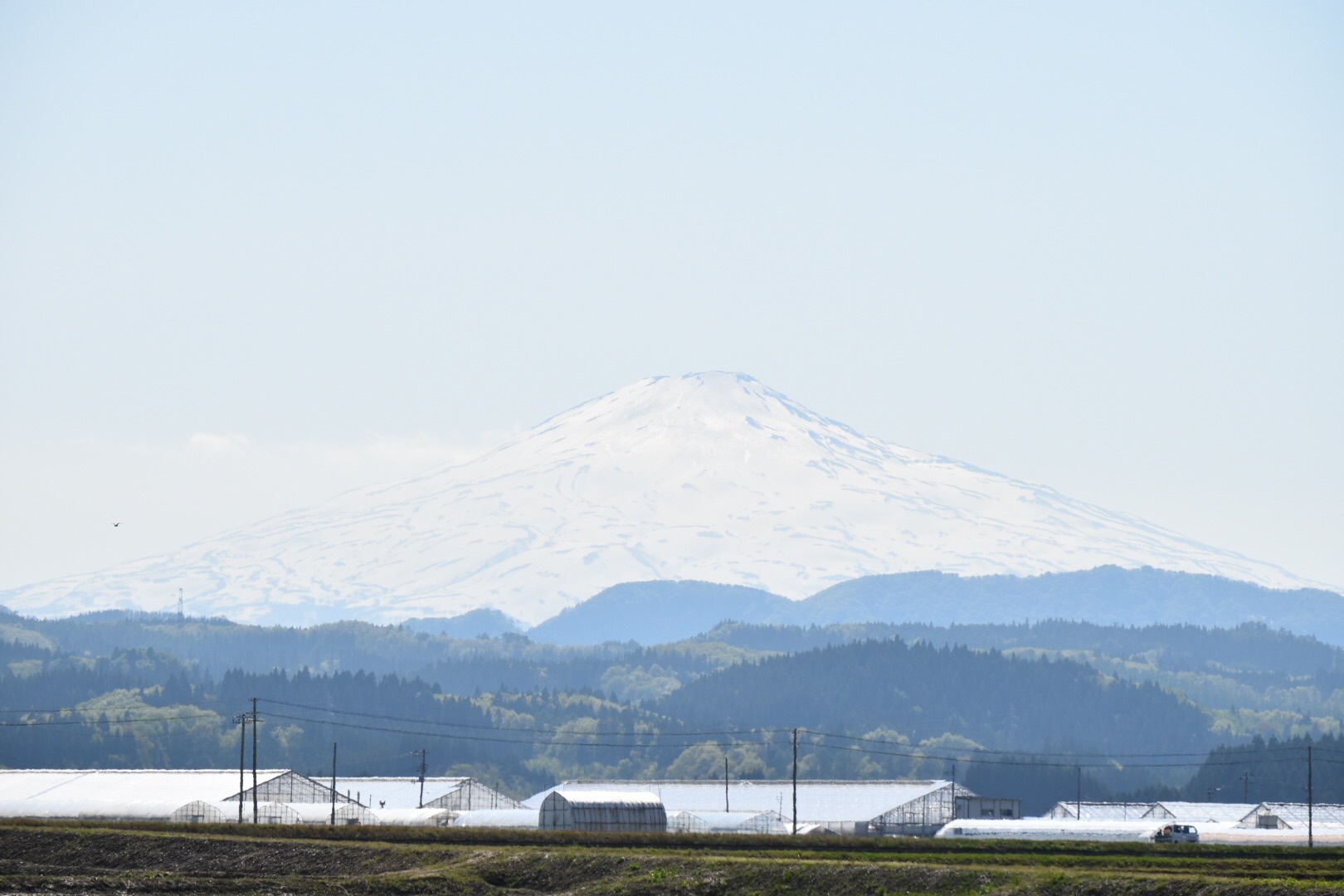 26559BF1-D50C-4B53-983E-1240B58D2D01.jpeg