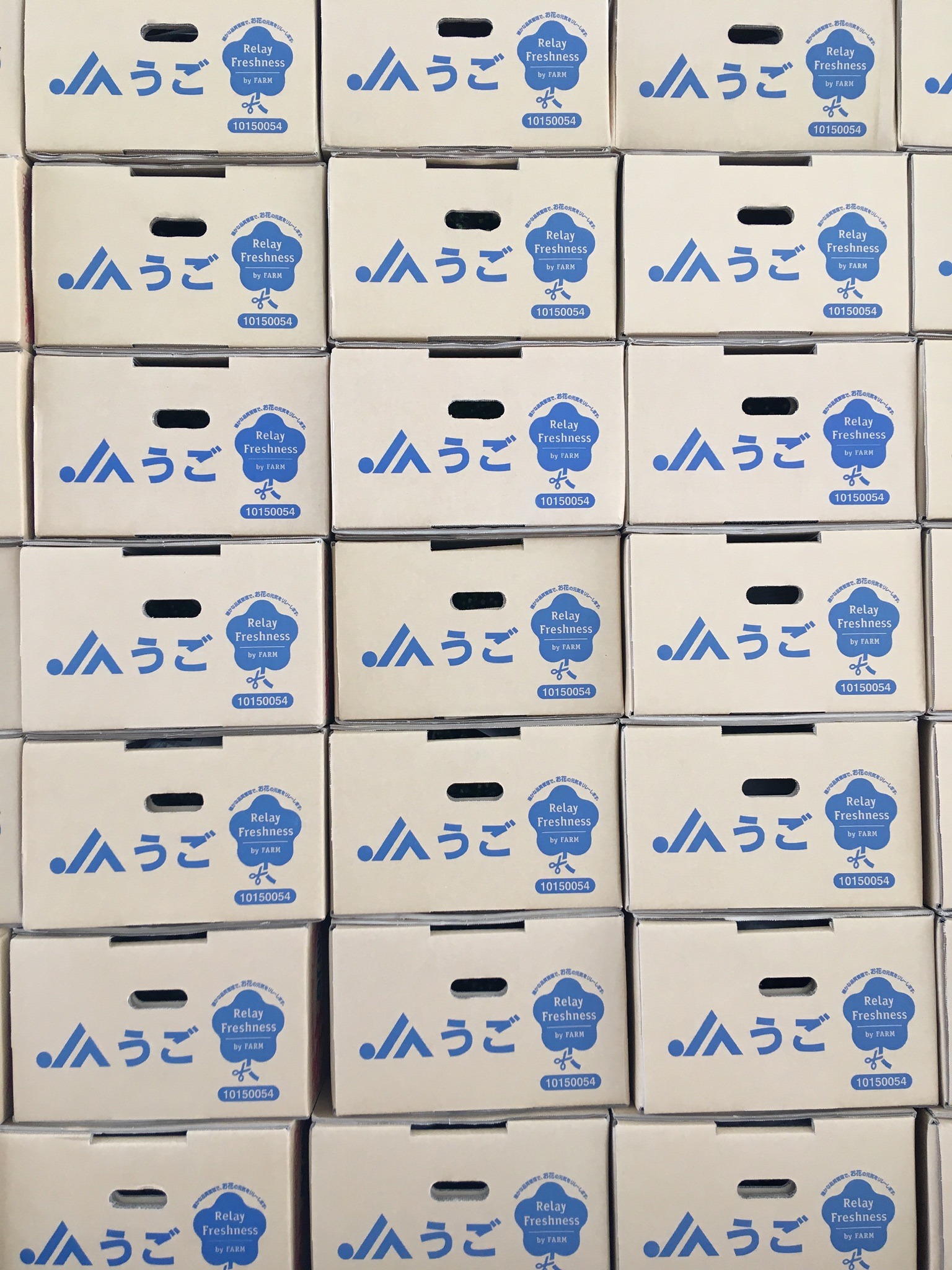 2B146D9F-167C-43BA-8303-3DA9817653AE.jpeg