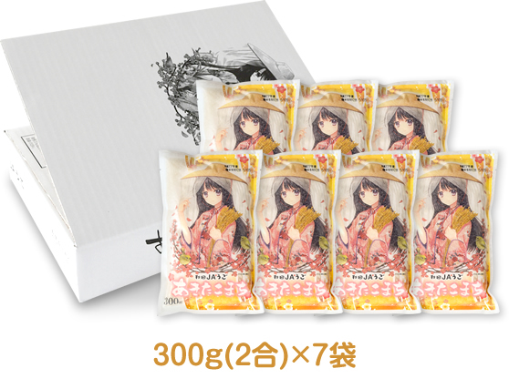 300gイメージ(ブログ用).jpg