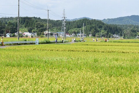 30344F24-A49F-40A6-9224-EED815C8F23A.jpeg