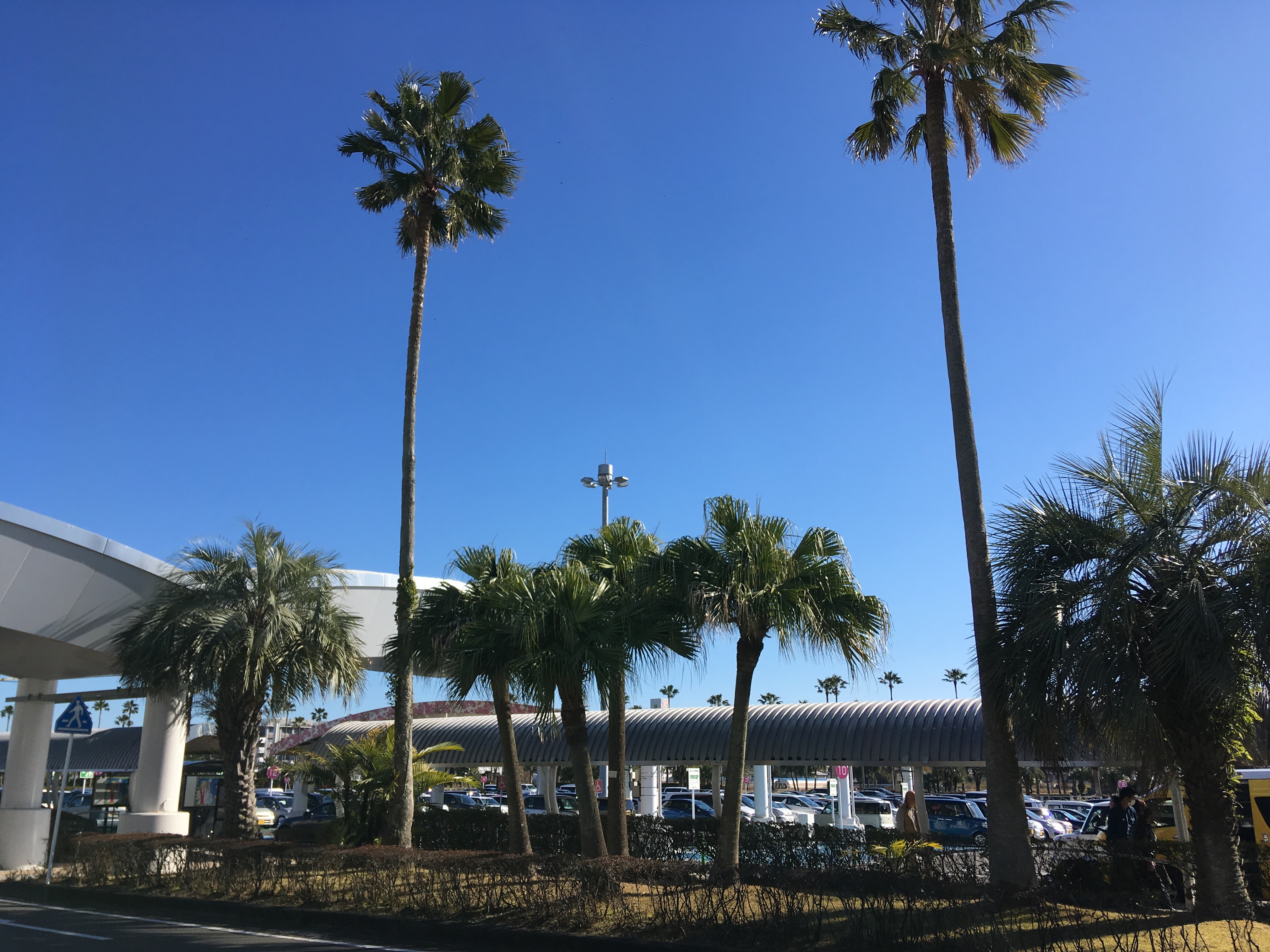 31606BEA-F0DC-42C2-BBBD-07FEBA7D6F9F.jpeg