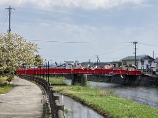 3B8A0440-2B15-485E-8972-4A7A3439BBF0.jpeg