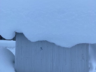 4376FEF7-07BE-4FD5-880F-8BE937B19256.jpeg