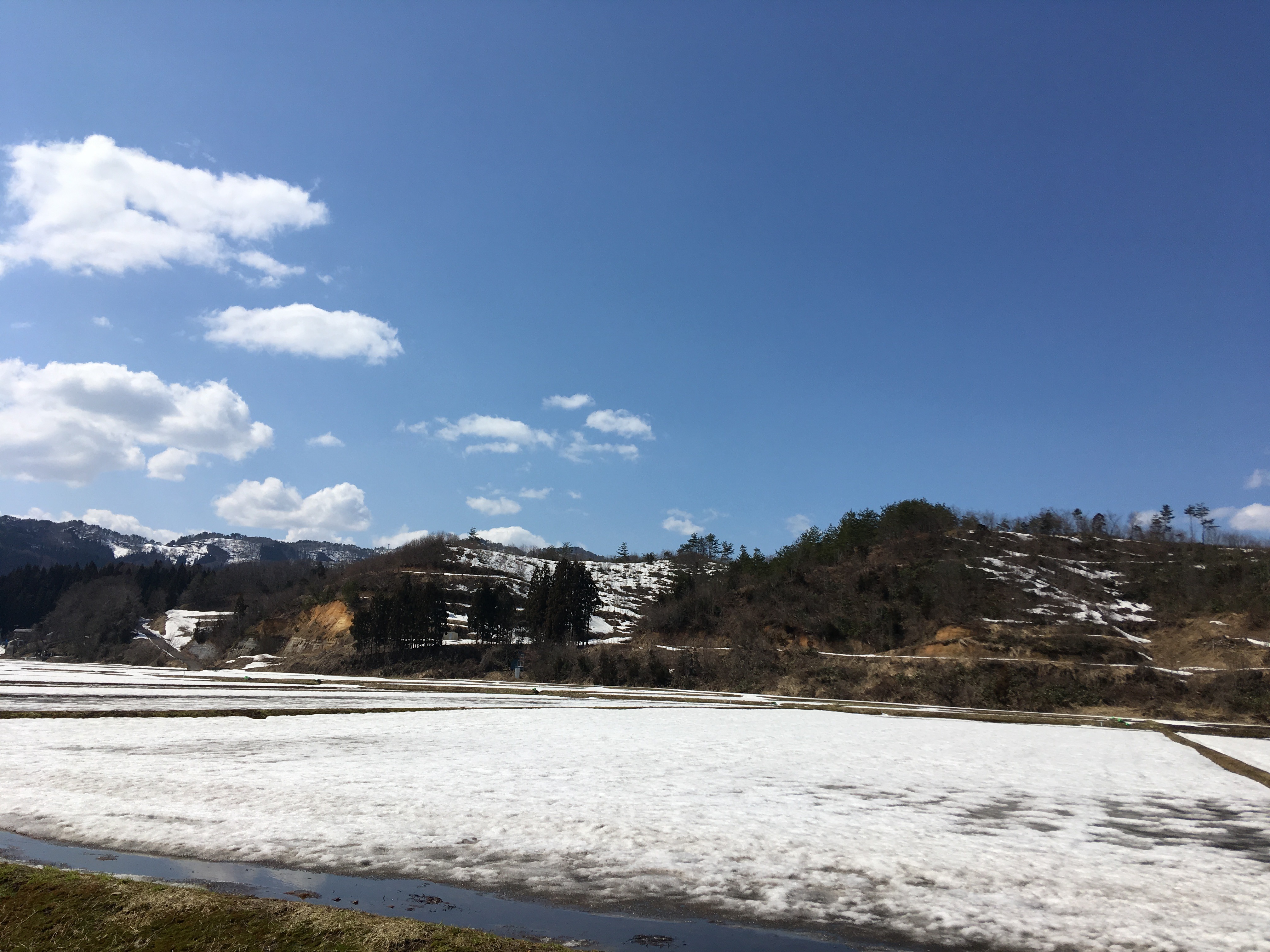 440CEEAC-6456-486F-9CA9-96A748B76FF3.jpeg