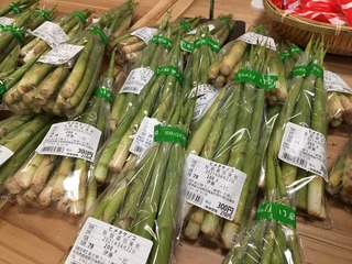 51C06029-DD94-444E-A64C-807B13474D3A.jpeg