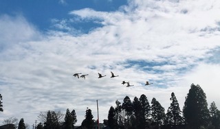 545F865D-5A45-4CFE-90B6-E49B03971D43.jpeg