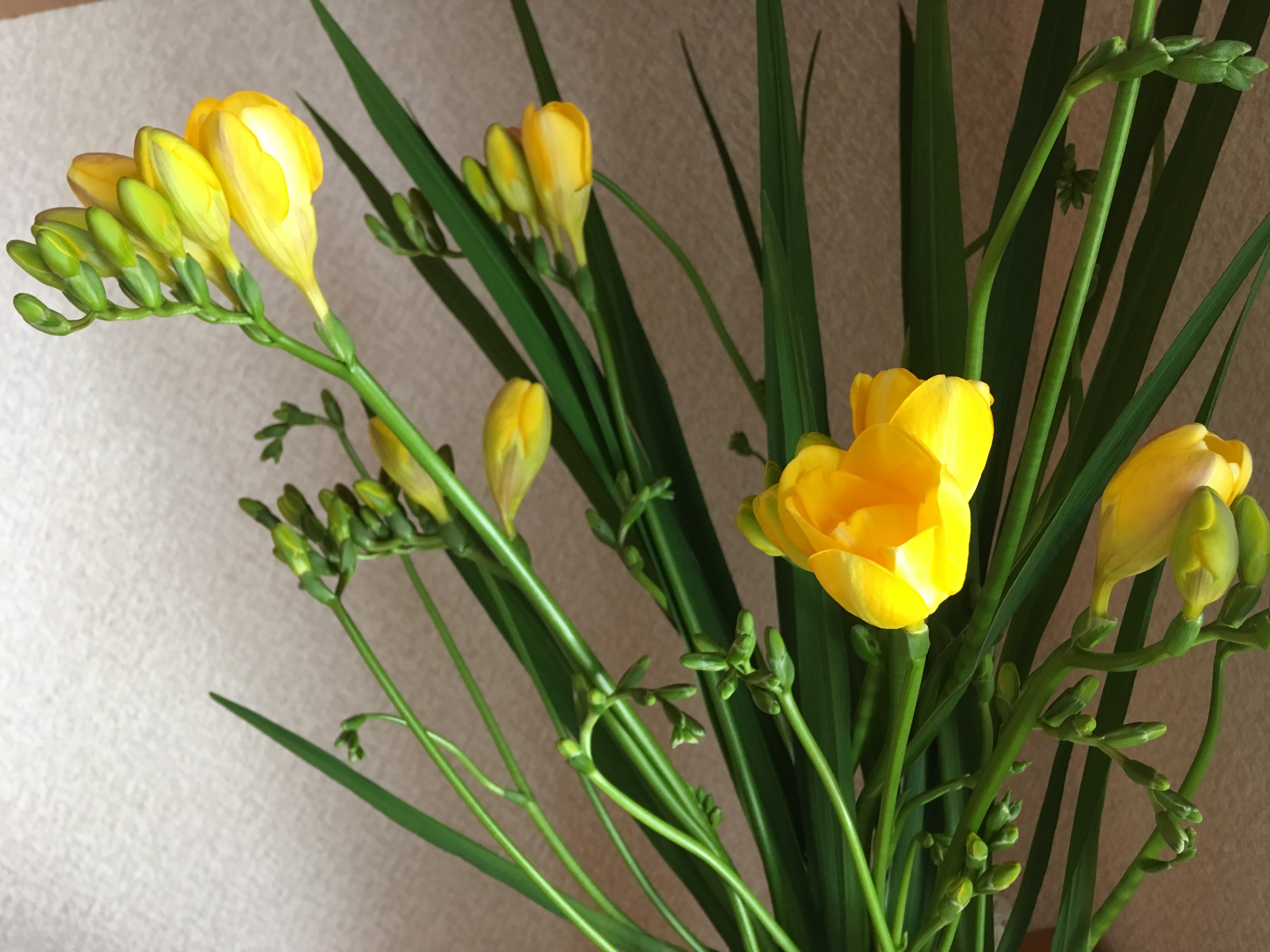 564EAEA0-4045-4220-B3B8-AB1378ABBBDF.jpeg