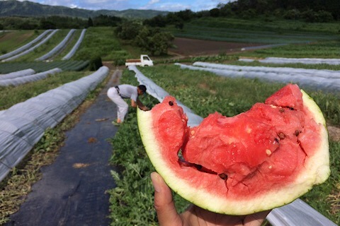 5B0AEBC3-CF8B-4168-837B-0AB68DEE2AEB.jpeg
