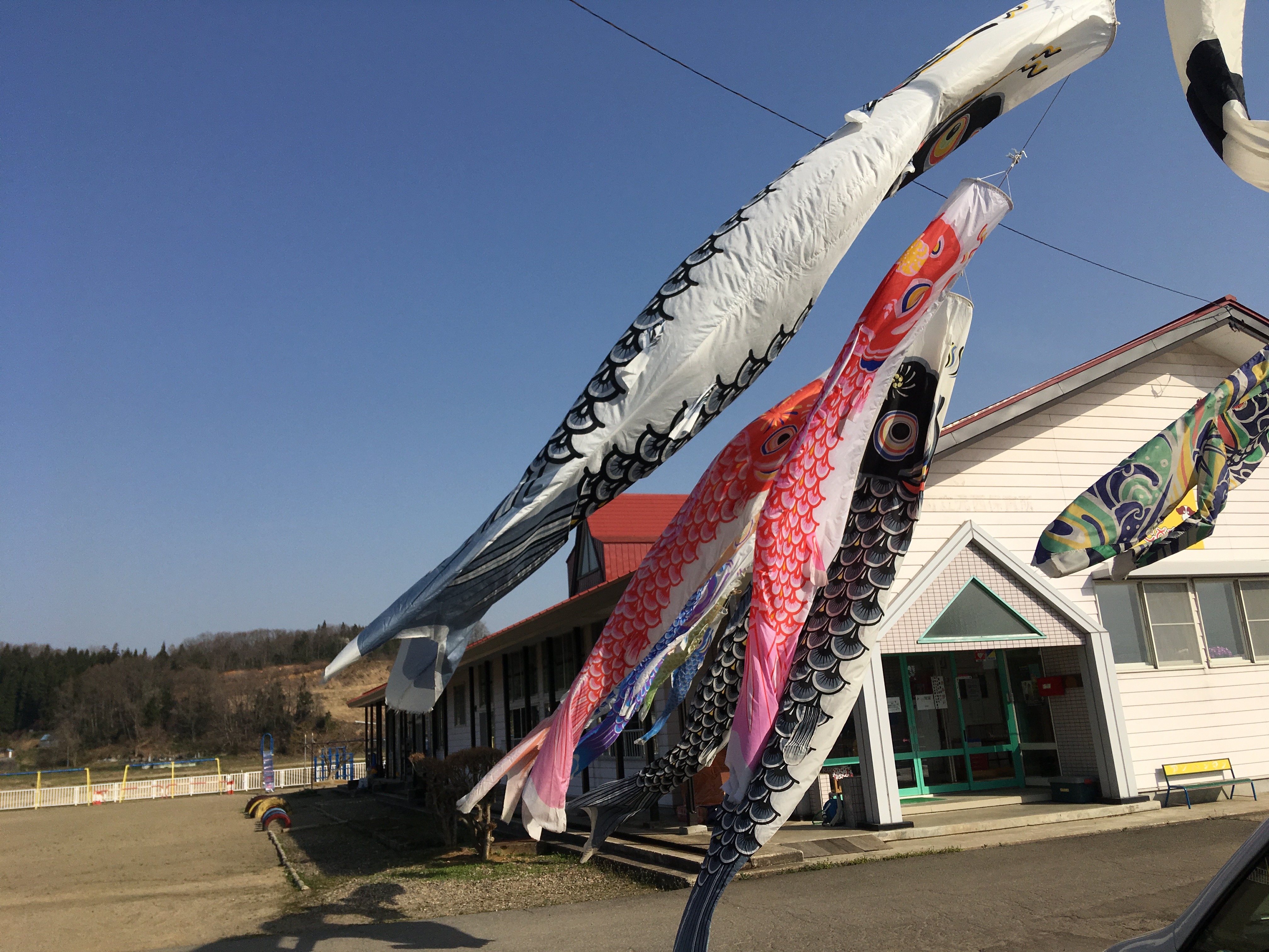 5D7FABB8-B6BE-4170-BF2D-8768A50D27F1.jpeg
