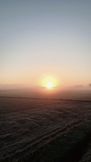 615652AA-8E3C-451B-8E20-D6B82138E764.jpeg