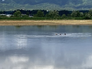 7247427F-1A30-49B6-9D9F-B3011A6672B0.jpeg
