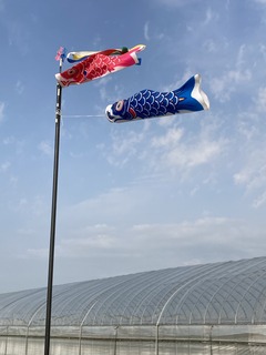 7A22779E-D446-4AE0-BC52-1C1A7841938C.jpeg