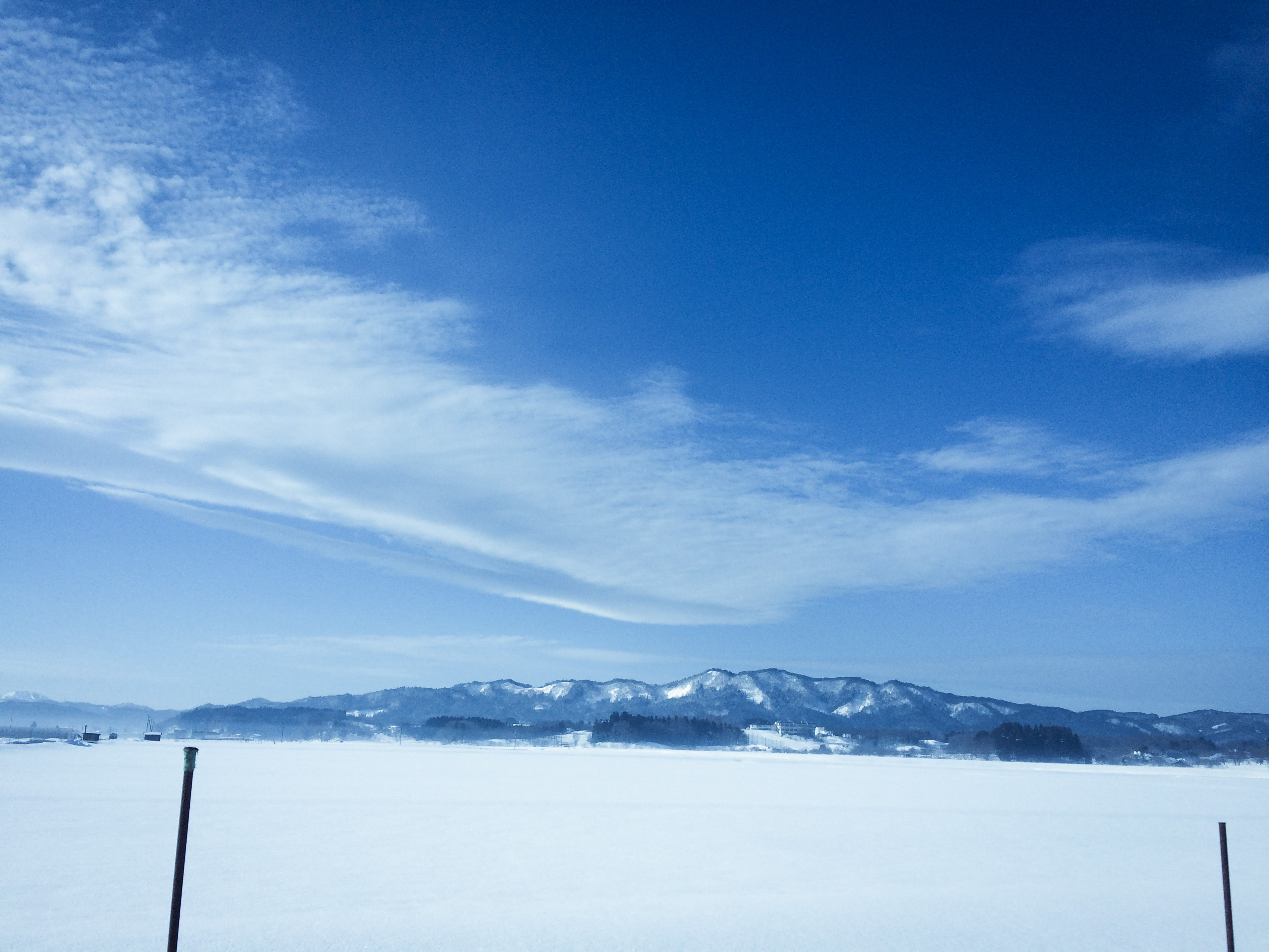 7A972A6C-66B4-48FE-AC0F-76652DF40B1C.jpeg