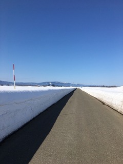 7AE36645-E27E-43DE-9BF9-AFA35DEFDFE1.jpeg