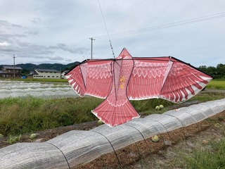 8434FD12-8DEA-4DF4-B943-8B3CA285C48F.jpeg