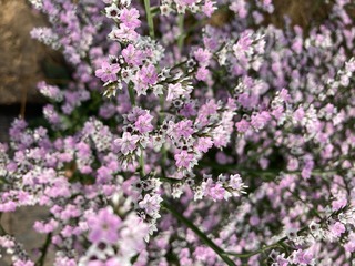 84B884D5-781B-4573-A222-8F55C5357E71.jpeg