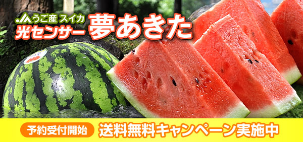 94005784-4DF5-4E48-9EBE-472D2D5404A9.jpeg