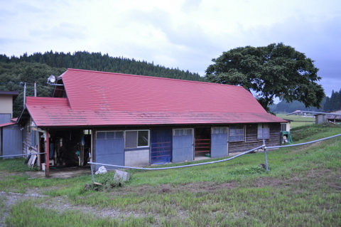 トチ20100825@2.JPG
