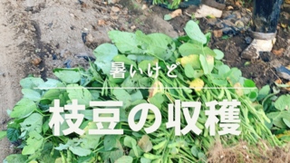 A652C9B5-56C1-48E8-B2A1-5601D5F8FE92.png