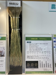 A91039E8-AEB9-4CD1-9C63-85E481F7287F.jpeg