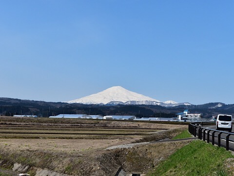 ADF795AC-B398-44CE-A28A-2157AB82F1FC.jpeg