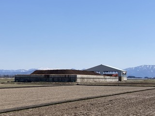 AFB1EDB8-D8F4-489E-9393-F321846E0539.jpeg