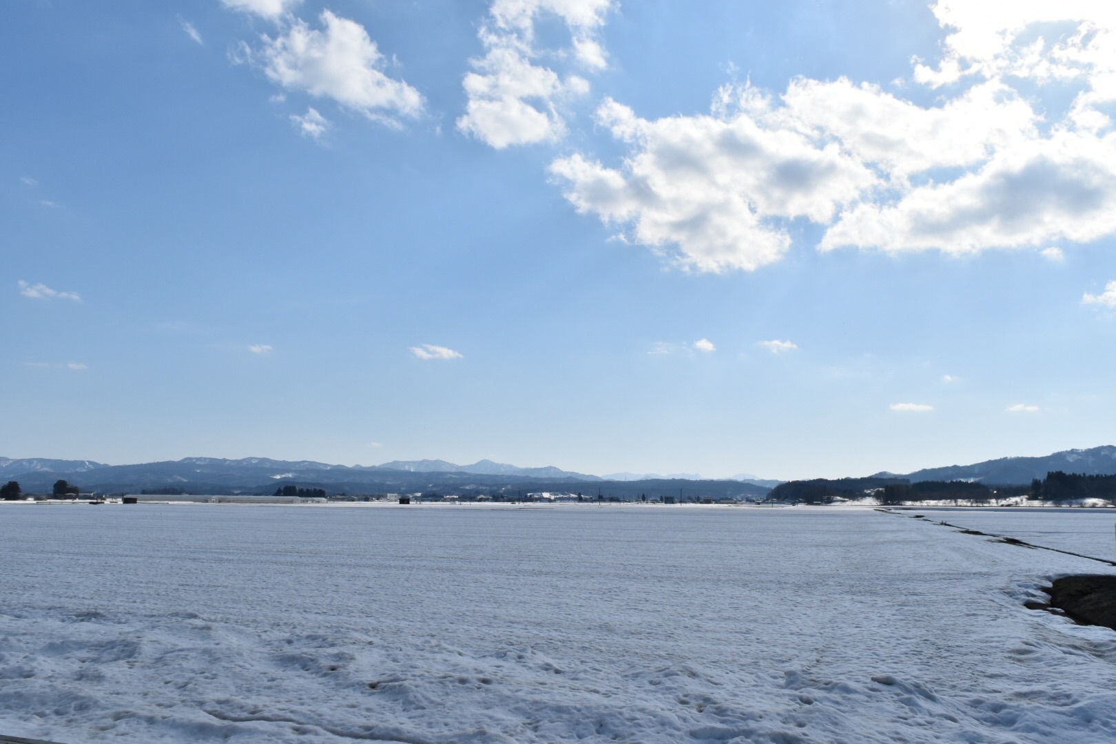 B733A103-014D-4BEB-AB04-4357320771A1.jpeg