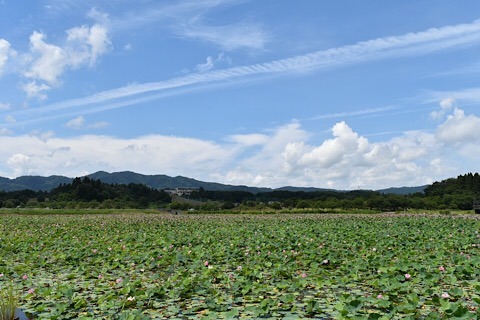 BACCAF98-40CB-44AD-BD91-598BB0DC4147.jpeg