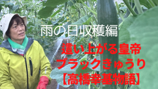BD849311-C84D-4AF2-8105-75D60207917F.png
