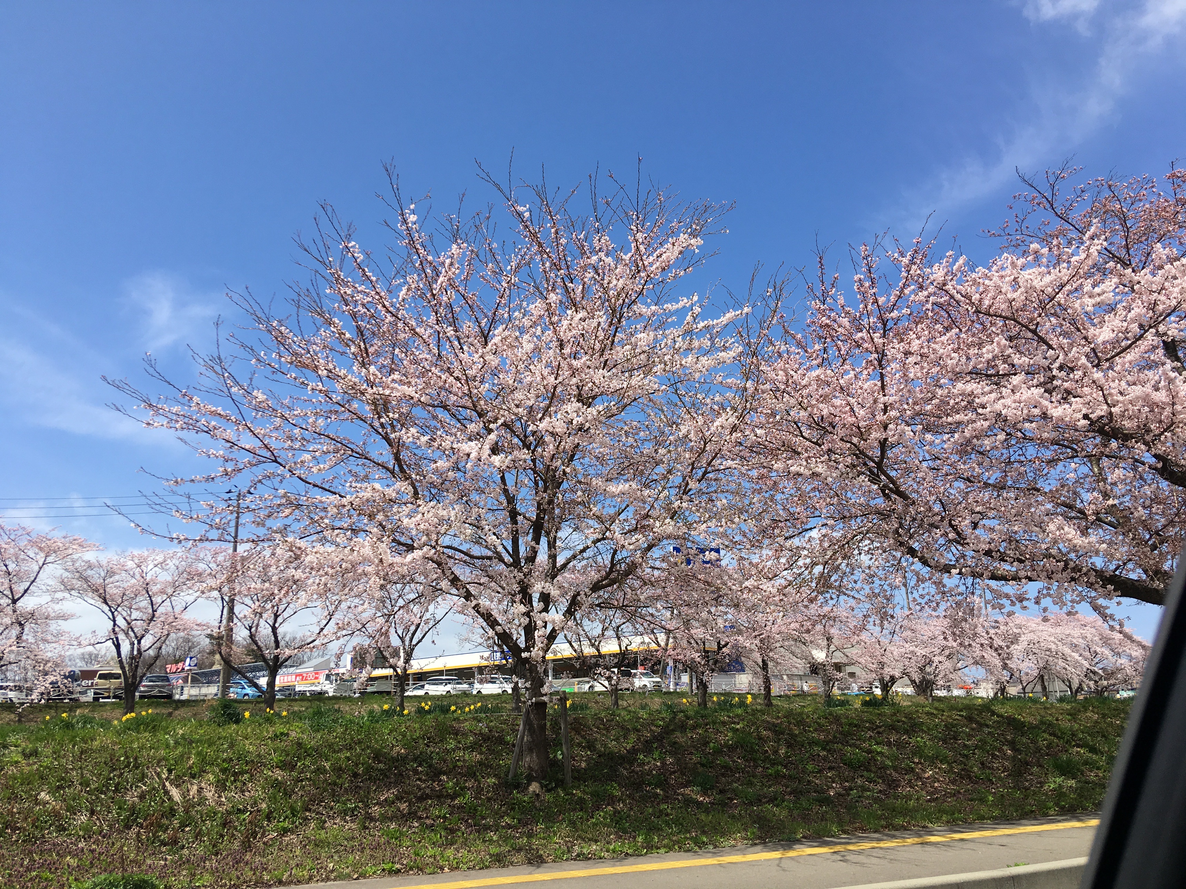 C65B02C4-7BBD-4A17-B623-55EDA6468E4D.jpeg