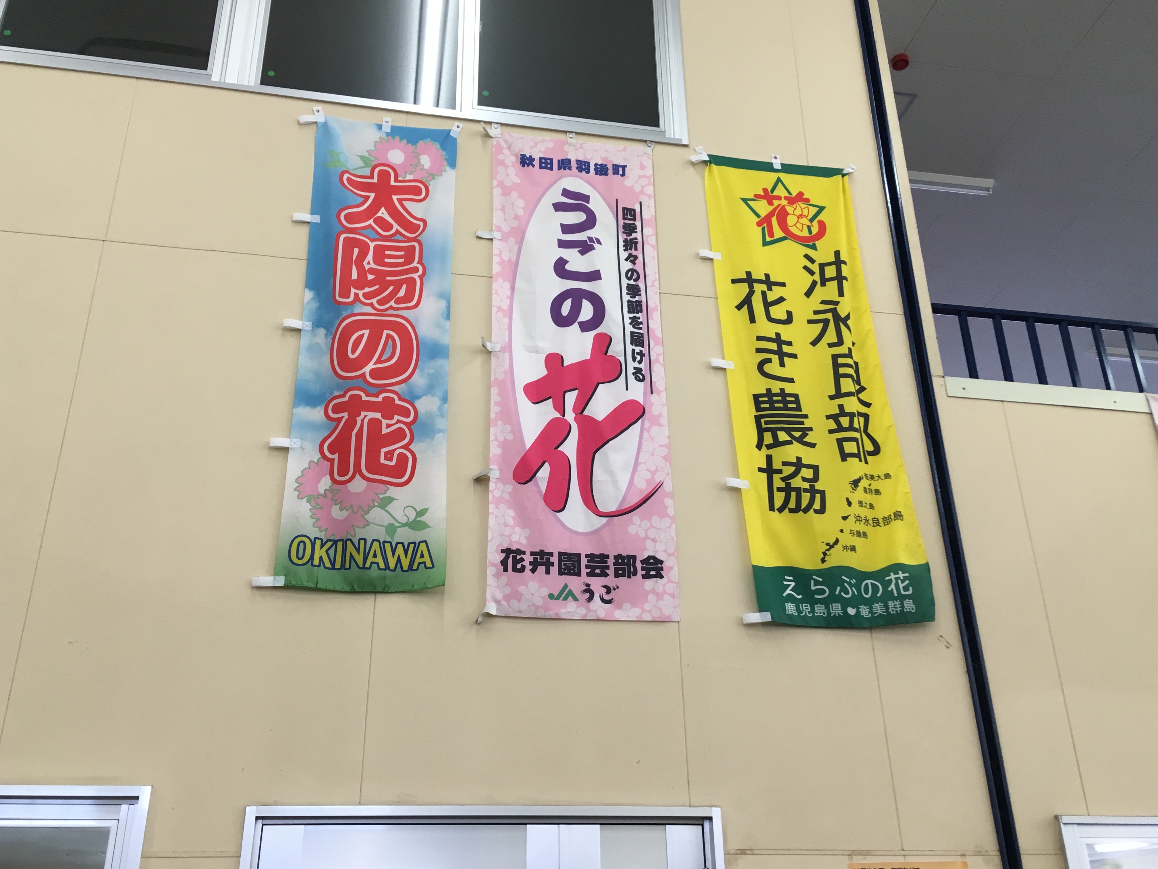 CEF4735C-A720-44D1-BA7B-6E2B682F55EE.jpeg