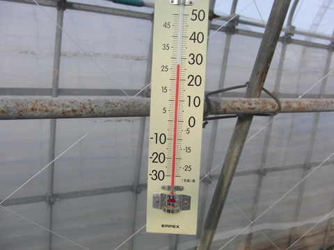 CIMG5103.JPG