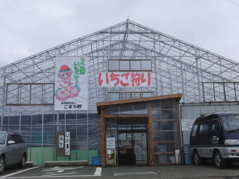CIMG5904.JPG