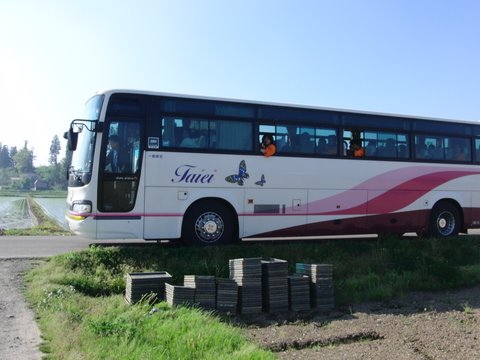 CIMG6568.JPG