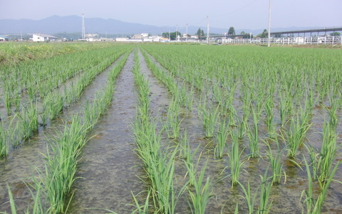 CIMG8571.JPG