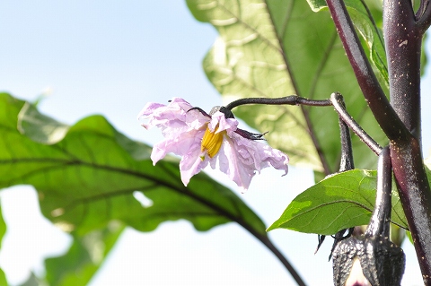 CSC_0164.jpg
