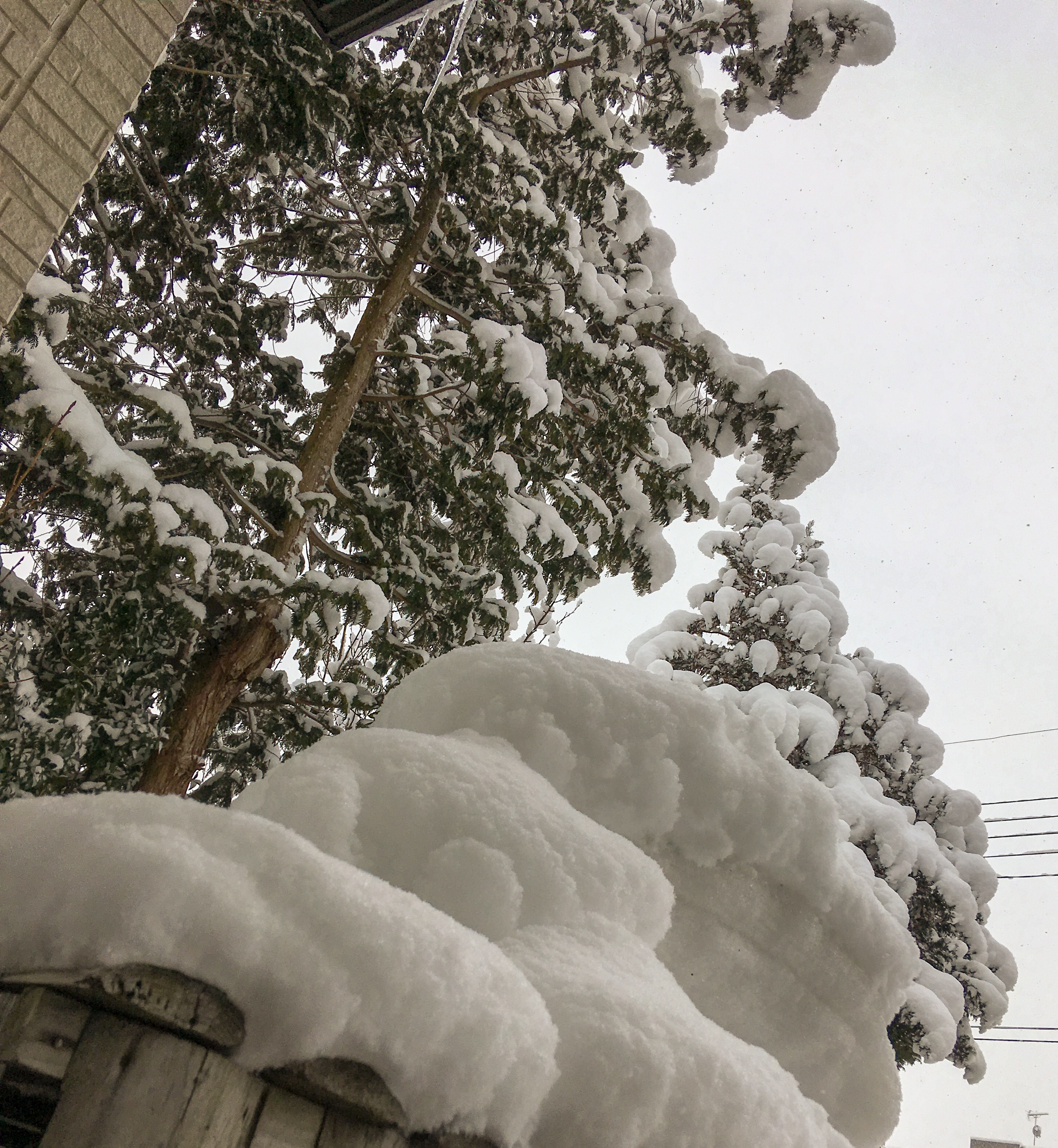 D2410BAB-18DC-4E9D-A73D-2DF7AE586B68.jpeg