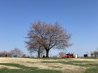 D27A8CA5-D5EF-4F8E-A54D-3D07B00AAA68.jpeg