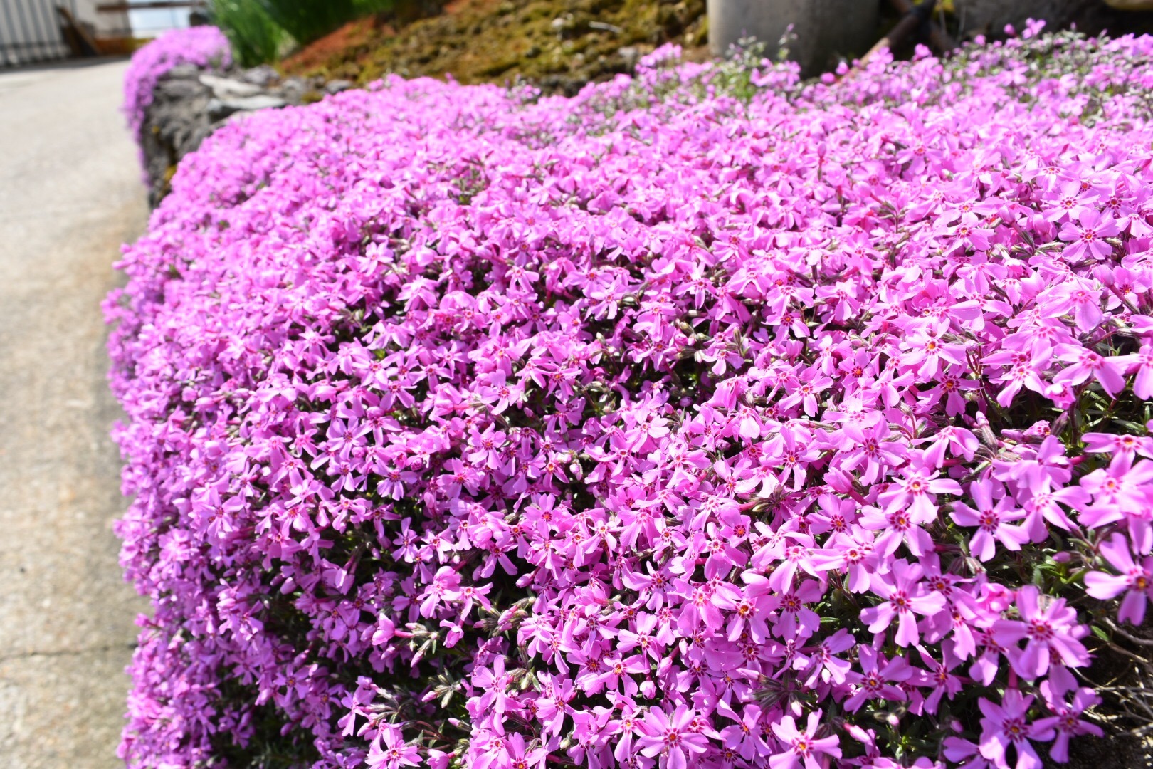D2A12EF2-3C47-4809-A15F-3D3DF1B40179.jpeg