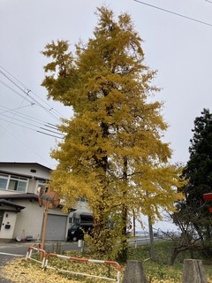D3B071C7-3CA0-4EAA-801C-2076F23F6ACB.jpeg