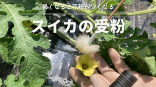 DAEEF4BD-1925-4303-AC03-880886863576.png