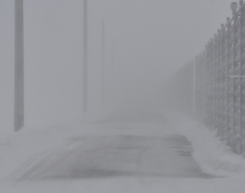 DSC_0002-1.JPG